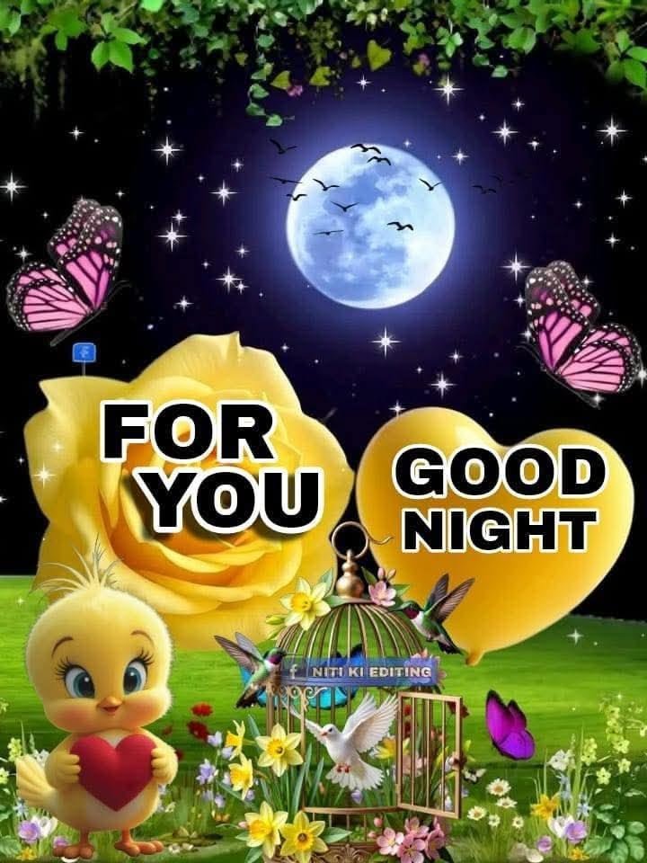 beautiful good night images, good night photos, good night pics, good night wallpapers, peaceful good night images, romantic good night pictures, cute good night images, night wishes photos, good night hd wallpapers, sweet good night images
