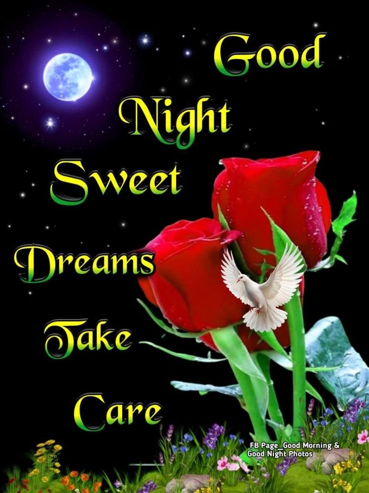 good night gif images, good night gif, good night wishes images, good night status images, animated good night images, good night dp, good night photos, good night wallpapers, good night pictures, good night gifs