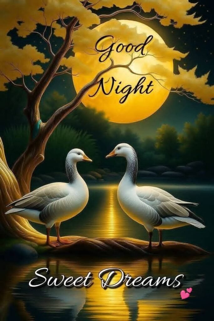 beautiful good night images, good night photos, good night pics, good night picture, good night dp, good night wallpapers, night images hd, cute good night images, romantic good night images, good night wishes images