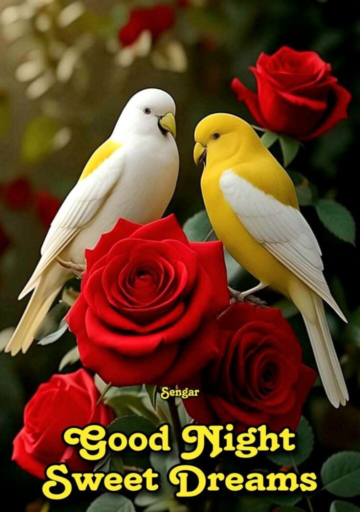 sweet good night images, good night gifs, sweet good night gifs, animated good night images, good night wishes images, good night photos, good night pictures, good night wallpapers, good night gif images, good night dp