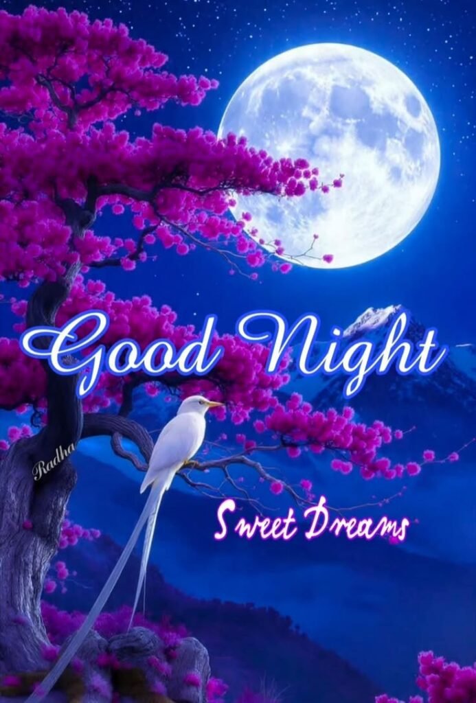 flower good night wishes images, flower good night images, good night flower images, good night flower wishes, good night flowers, flower good night photos, good night flower pictures, flower good night wallpapers, beautiful good night flowers, good night rose images