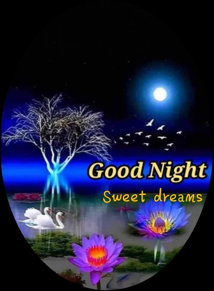 good night gif images, good night gif, good night wishes images, good night status images, animated good night images, good night dp, good night photos, good night wallpapers, good night pictures, good night gifs