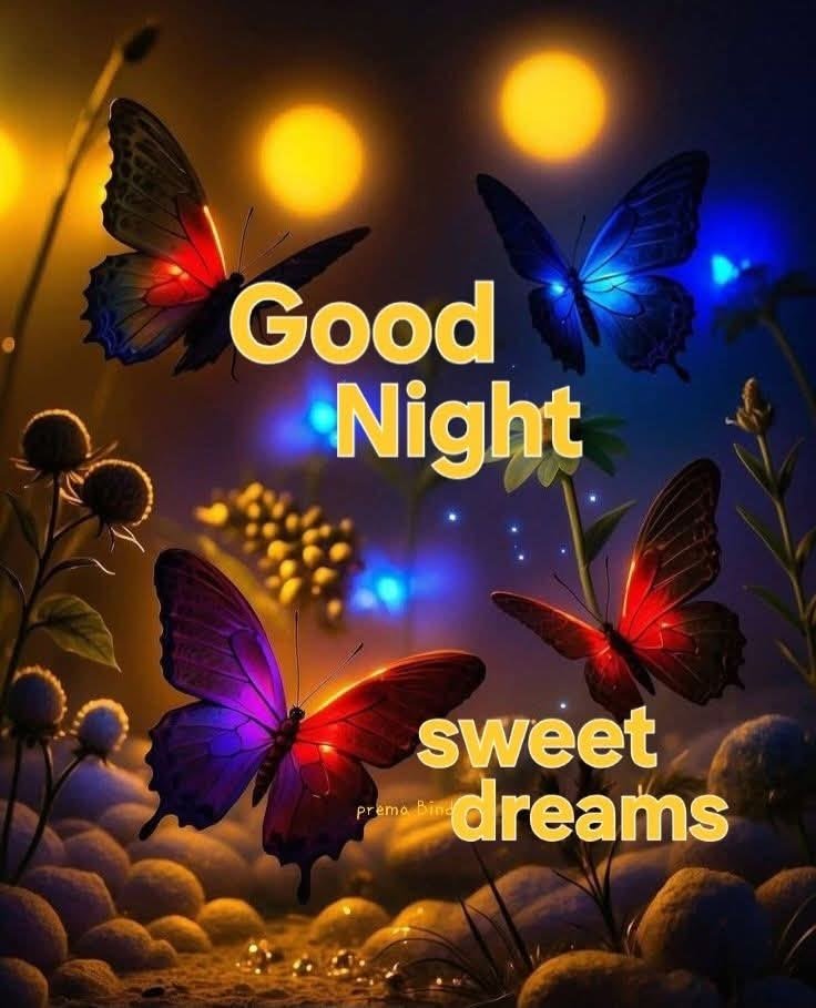 cute good night images, good night sms messages, good night wishes images, good night photos, good night pictures, good night wallpapers, sweet good night messages, romantic good night images, good night pics, good night quotes