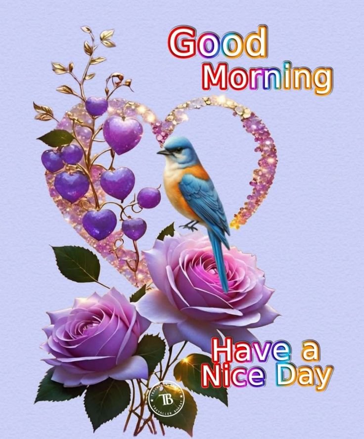 flower good morning images, beautiful good morning flowers, good morning flower photos, flower good morning pics, fresh flower good morning images, good morning wallpaper flowers, morning flower images, good morning rose images, good morning flower pictures, flower morning wishes