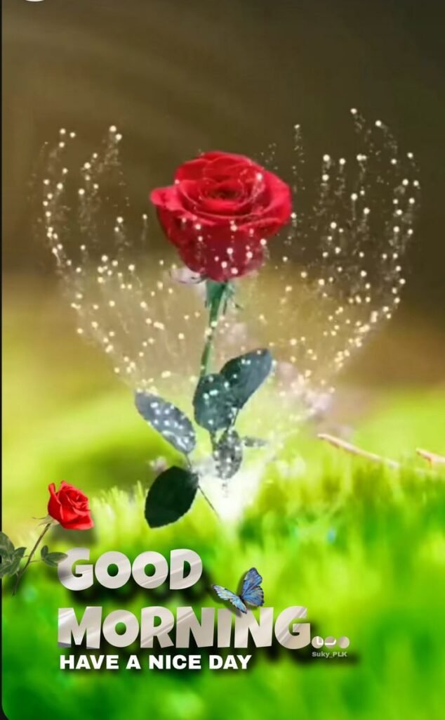 flower good morning images, beautiful good morning flowers, good morning flower photos, flower good morning pics, fresh flower good morning images, good morning wallpaper flowers, morning flower images, good morning rose images, good morning flower pictures, flower morning wishes