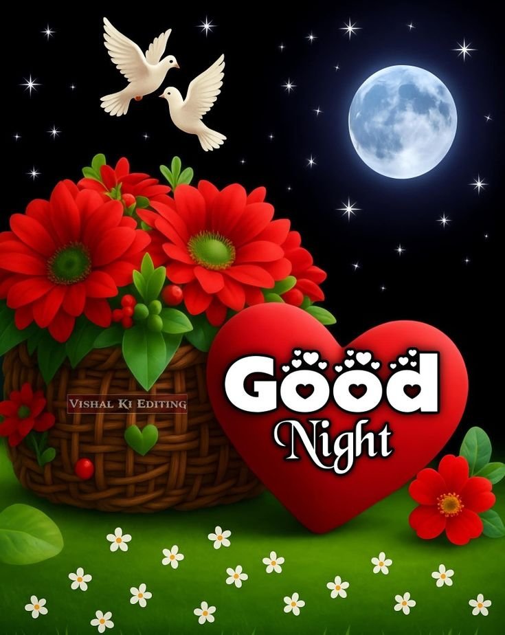 good night images new, new good night images, latest good night images, good night pics, good night photos, good night pictures, good night wallpapers, beautiful good night images, good night wishes images, hd good night images