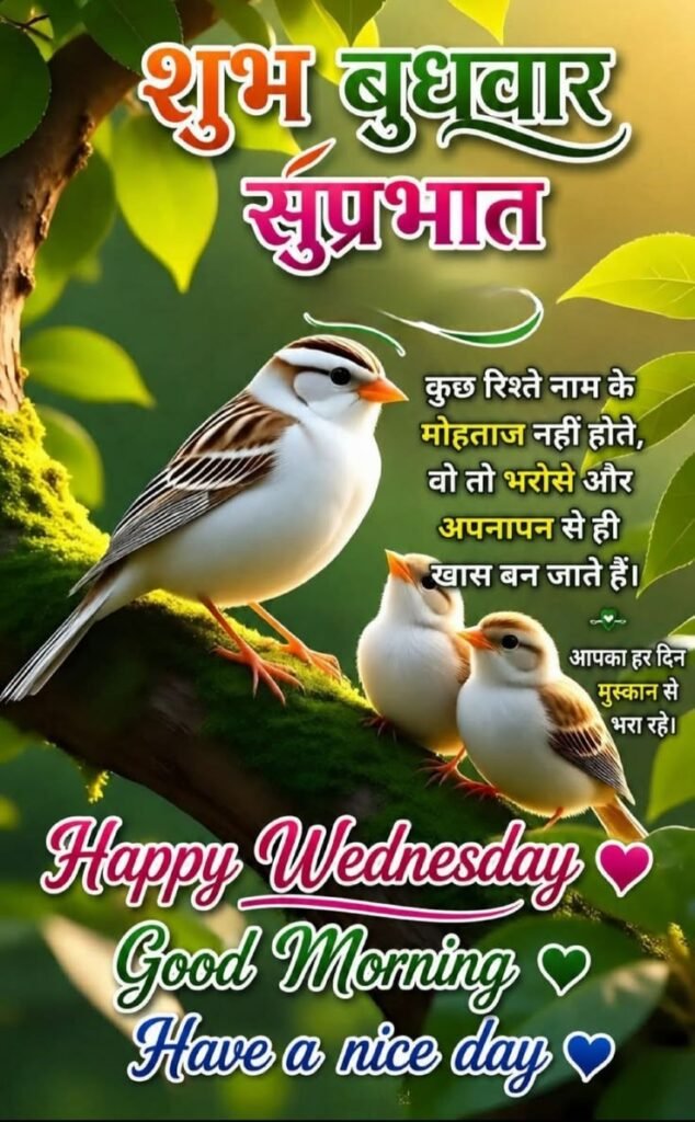 good morning images, good morning dp, good morning pictures, good morning photos, good morning pics, good morning wallpapers, morning dp images, beautiful good morning images, good morning wishes images, hd good morning wallpapers