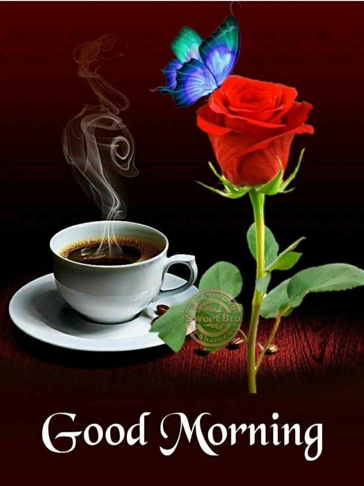 good morning tea images, good morning coffee images, happy good morning images, tea coffee morning images, morning tea photos, coffee good morning pics, good morning dp images, tea coffee wallpapers, good morning pics with tea, coffee morning pictures