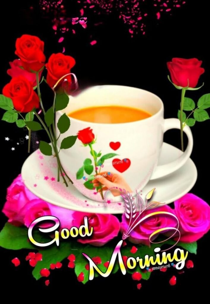 flower good morning images, beautiful good morning flowers, good morning flower photos, flower good morning pics, fresh flower good morning images, good morning wallpaper flowers, morning flower images, good morning rose images, good morning flower pictures, flower morning wishes