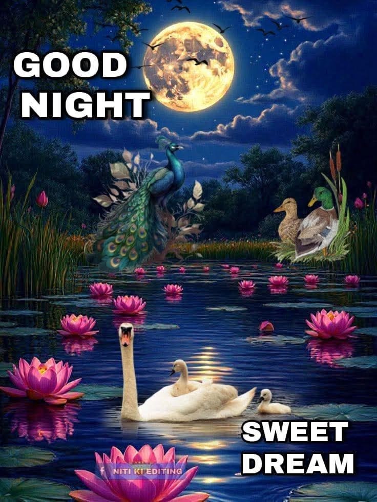 beautiful good night images, good night photos, good night pics, good night wallpapers, peaceful good night images, romantic good night pictures, cute good night images, night wishes photos, good night hd wallpapers, sweet good night images