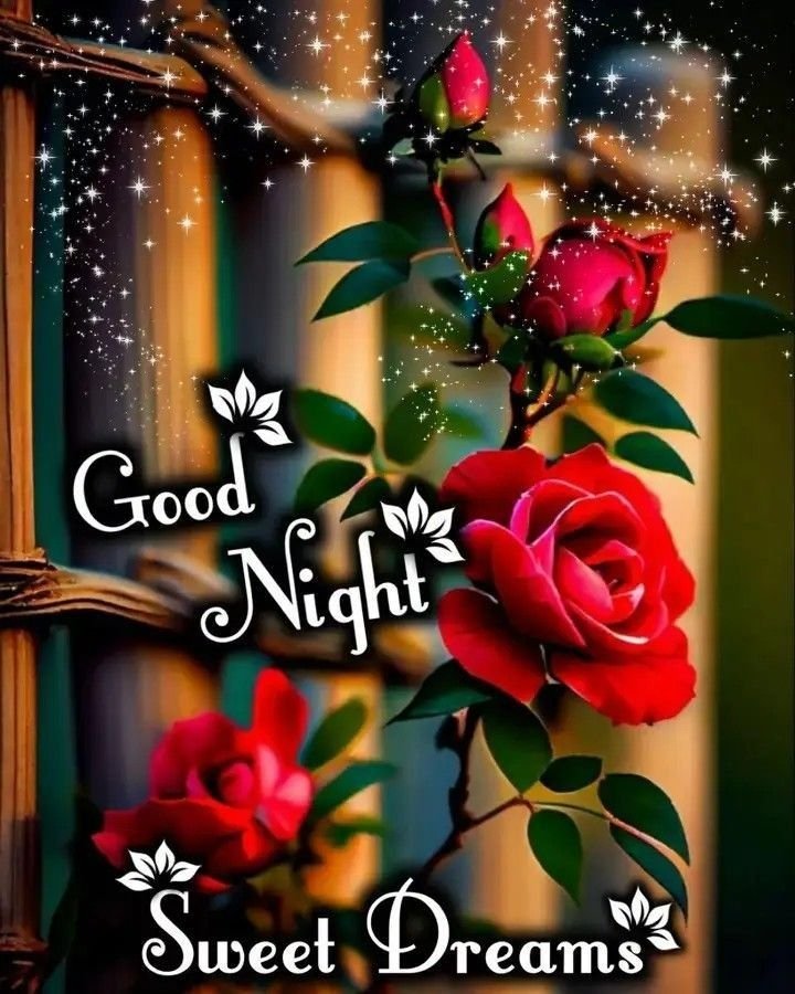 beautiful good night images, good night photos, good night pics, good night picture, good night dp, good night wallpapers, night images hd, cute good night images, romantic good night images, good night wishes images