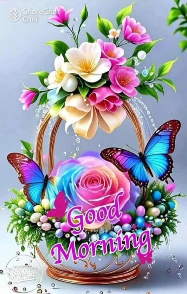 flower good morning images, beautiful good morning flowers, good morning flower photos, flower good morning pics, fresh flower good morning images, good morning wallpaper flowers, morning flower images, good morning rose images, good morning flower pictures, flower morning wishes