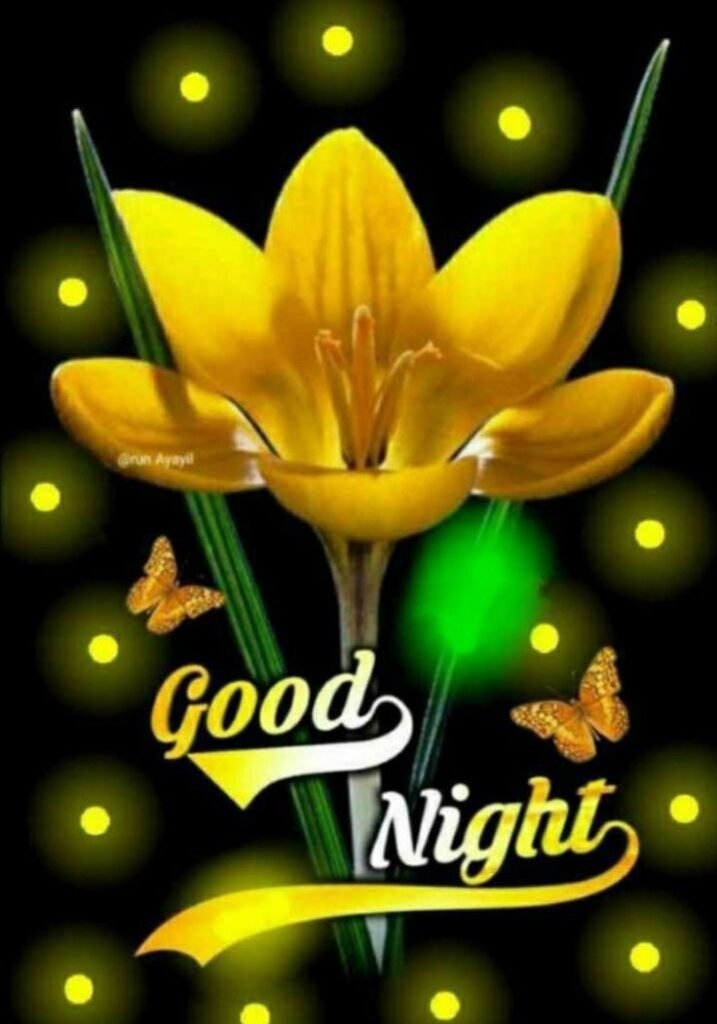 beautiful good night images, good night photos, good night pics, good night picture, good night dp, good night wallpapers, night images hd, cute good night images, romantic good night images, good night wishes images