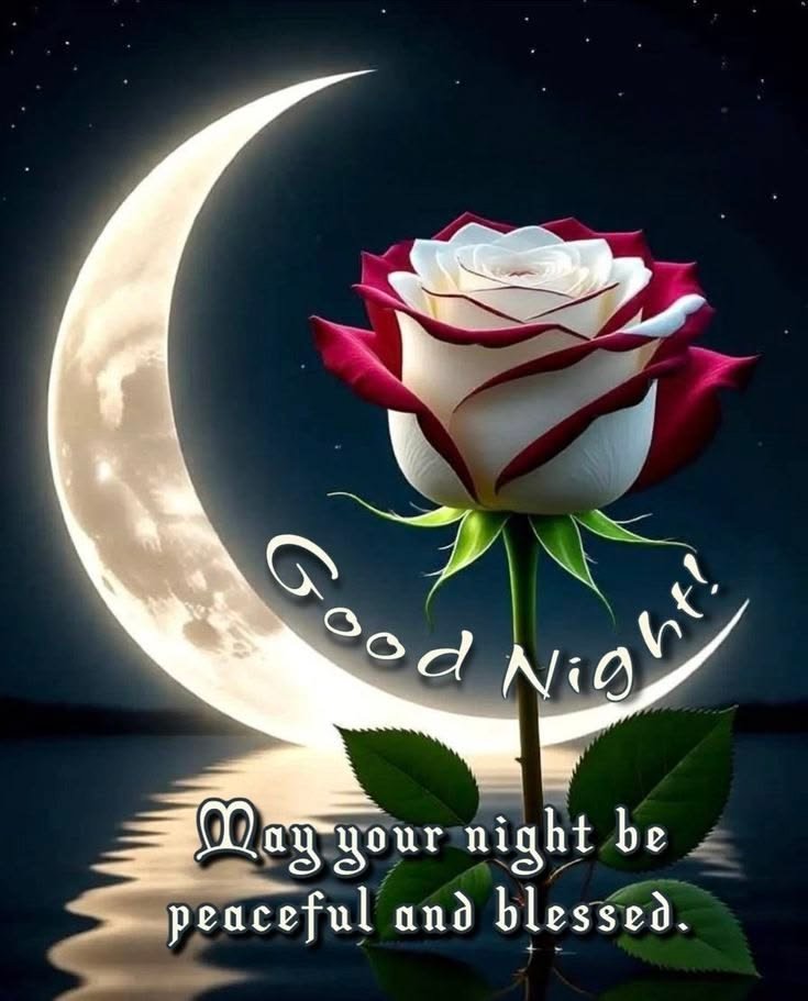 good night light images, good night lamp images, moonlight good night images, good night glowing images, good night night light, good night photos, good night pictures, good night wallpapers, peaceful good night images, good night dp
