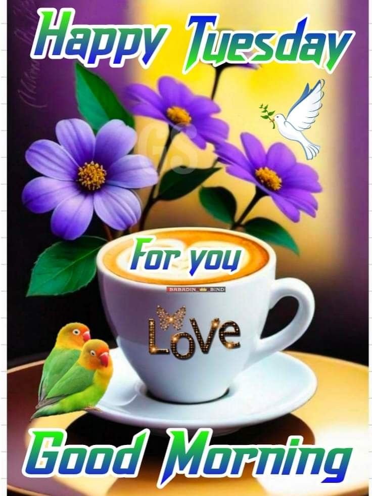 flower good morning images, beautiful good morning flowers, good morning flower photos, flower good morning pics, fresh flower good morning images, good morning wallpaper flowers, morning flower images, good morning rose images, good morning flower pictures, flower morning wishes