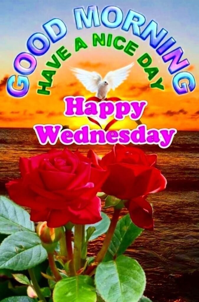 flower good morning images, beautiful good morning flowers, good morning flower photos, flower good morning pics, fresh flower good morning images, good morning wallpaper flowers, morning flower images, good morning rose images, good morning flower pictures, flower morning wishes