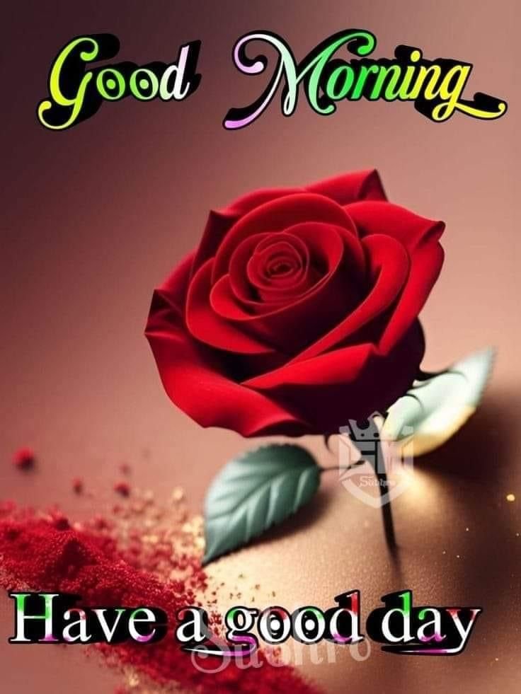 flower good morning images, beautiful good morning flowers, good morning flower photos, flower good morning pics, fresh flower good morning images, good morning wallpaper flowers, morning flower images, good morning rose images, good morning flower pictures, flower morning wishes