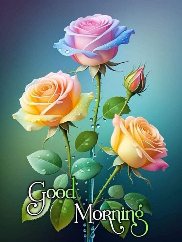 flower good morning images, beautiful good morning flowers, good morning flower photos, flower good morning pics, fresh flower good morning images, good morning wallpaper flowers, morning flower images, good morning rose images, good morning flower pictures, flower morning wishes