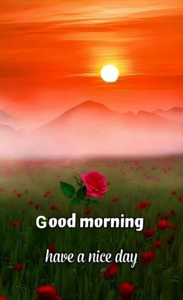 flower good morning images, beautiful good morning flowers, good morning flower photos, flower good morning pics, fresh flower good morning images, good morning wallpaper flowers, morning flower images, good morning rose images, good morning flower pictures, flower morning wishes