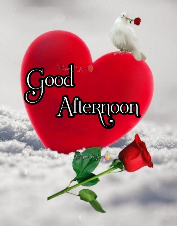 good evening images quotes, good evening photos, good evening pics, good evening wallpapers, evening quotes images, sunset good evening images, beautiful good evening pictures, good evening wishes photos, good evening hd wallpapers, evening greeting images