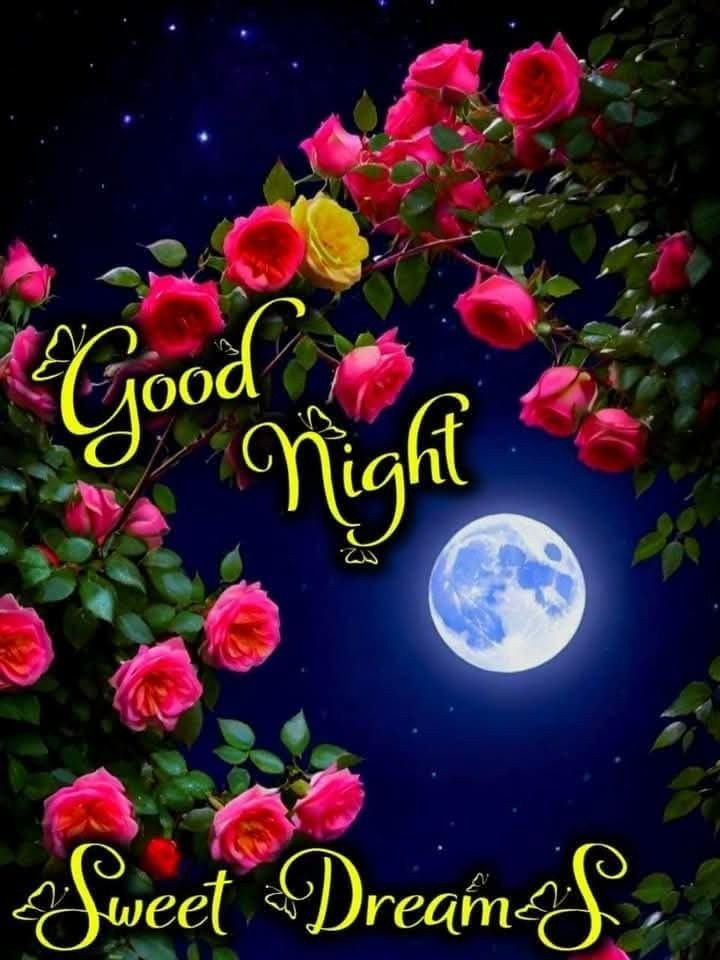 good night images new, new good night images, latest good night images, good night pics, good night photos, good night pictures, good night wallpapers, beautiful good night images, good night wishes images, hd good night images
