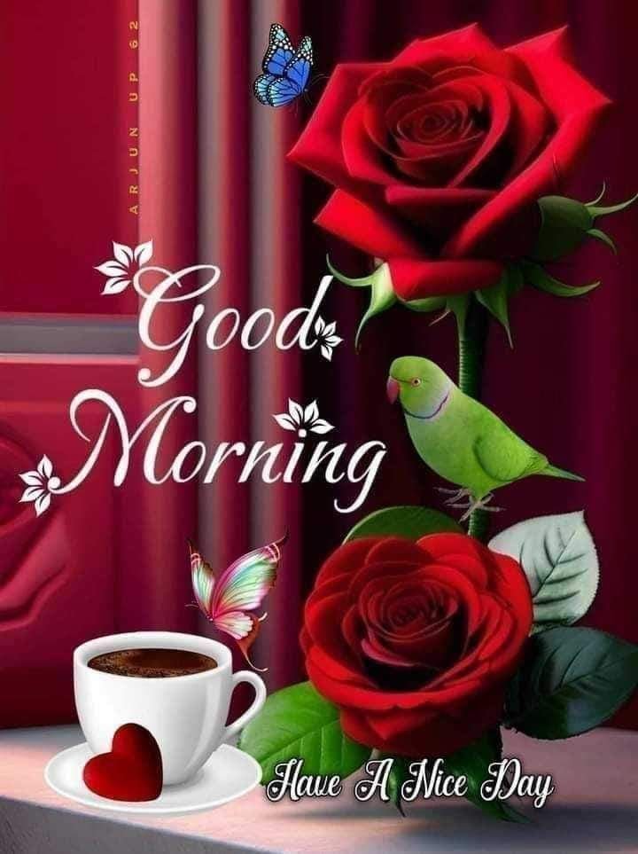 flower good morning images, beautiful good morning flowers, good morning flower photos, flower good morning pics, fresh flower good morning images, good morning wallpaper flowers, morning flower images, good morning rose images, good morning flower pictures, flower morning wishes