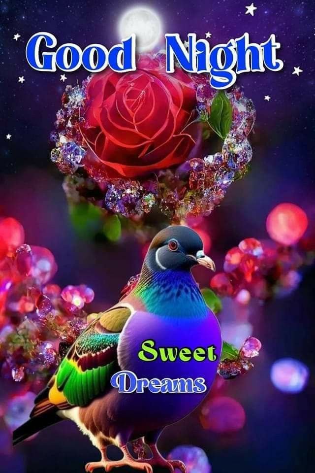 beautiful good night images, good night photos, good night pics, good night wallpapers, peaceful good night images, romantic good night pictures, cute good night images, night wishes photos, good night hd wallpapers, sweet good night images