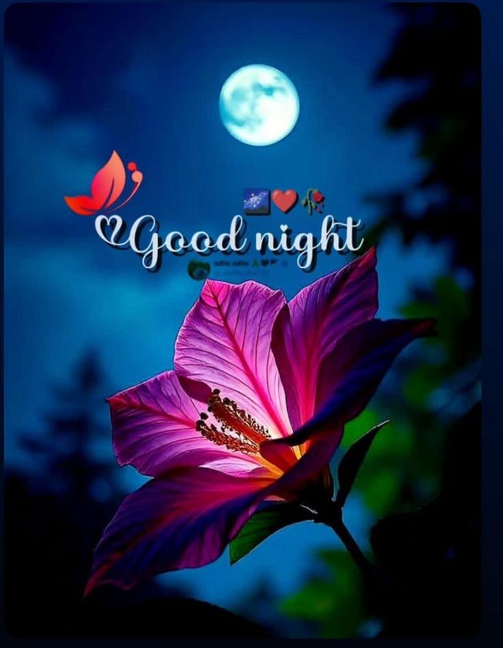 beautiful good night images, good night photos, good night pics, good night wallpapers, peaceful good night images, romantic good night pictures, cute good night images, night wishes photos, good night hd wallpapers, sweet good night images
