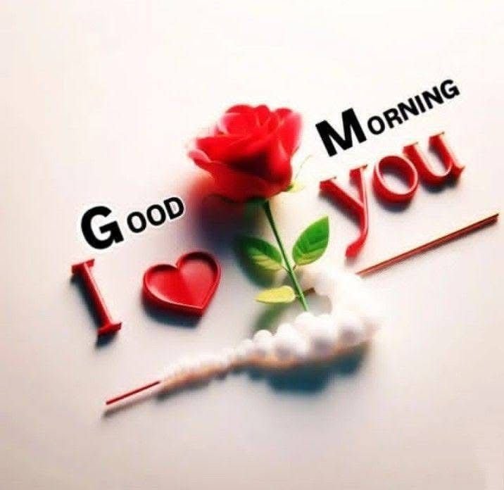 good morning red flowers, red flower good morning, good morning red flower images, red flower pictures, good morning flower images, red flower wallpapers, beautiful good morning flowers, red flower photos, morning flower pics, good morning nature images