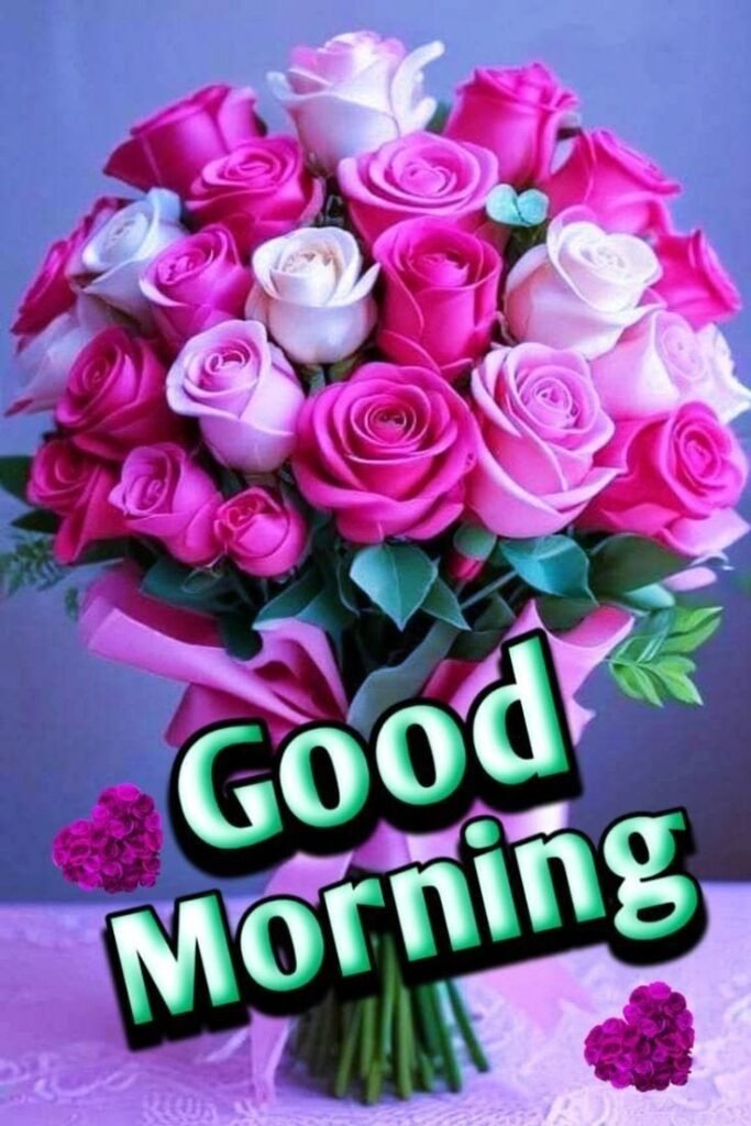 good morning red rose images, red rose good morning, good morning red rose, red rose pictures, good morning rose images, red rose wallpapers, beautiful good morning roses, red rose photos, morning rose pics, good morning flower images