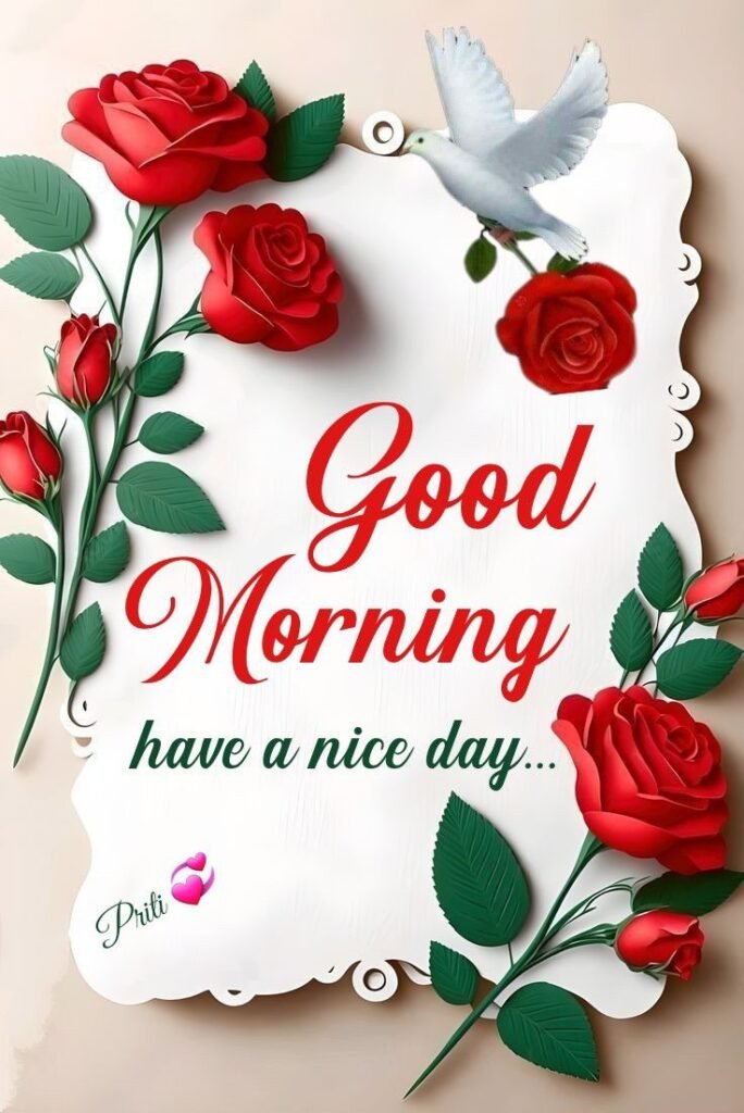 flower good morning images, beautiful good morning flowers, good morning flower photos, flower good morning pics, fresh flower good morning images, good morning wallpaper flowers, morning flower images, good morning rose images, good morning flower pictures, flower morning wishes