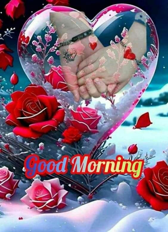 good morning i love you images, good morning love wishes, good morning love images, good morning romantic images, i love you good morning, good morning couple images, love dp, romantic good morning pics, good morning love wallpapers, good morning wishes for love