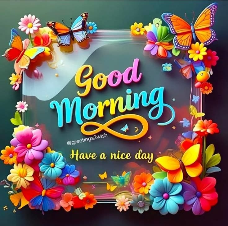 good morning rose images, rose good morning, good morning roses, rose pictures, good morning flower images, rose wallpapers, beautiful good morning roses, rose photos, morning rose pics, good morning nature images