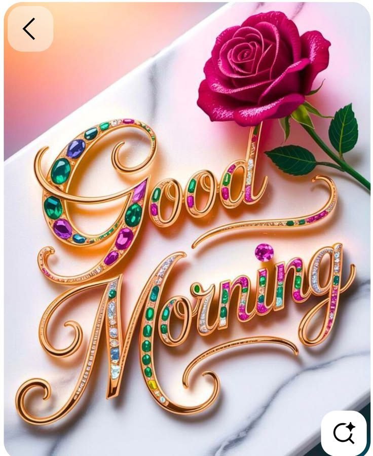 good morning rose images, rose good morning, good morning roses, rose pictures, good morning flower images, rose wallpapers, beautiful good morning roses, rose photos, morning rose pics, good morning nature images