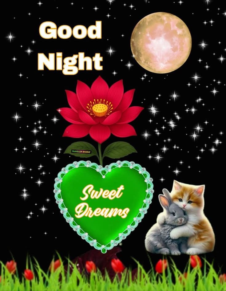 beautiful good night images, good night photos, good night pics, good night wallpapers, peaceful good night images, romantic good night pictures, cute good night images, night wishes photos, good night hd wallpapers, sweet good night images