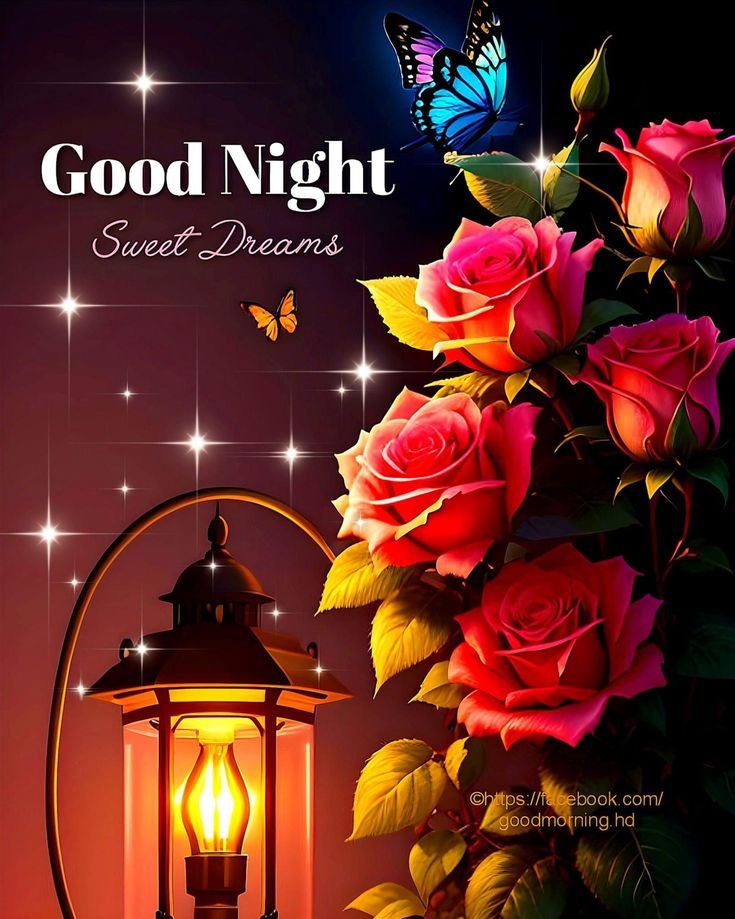 beautiful good night images, good night photos, good night pics, good night wallpapers, peaceful good night images, romantic good night pictures, cute good night images, night wishes photos, good night hd wallpapers, sweet good night images