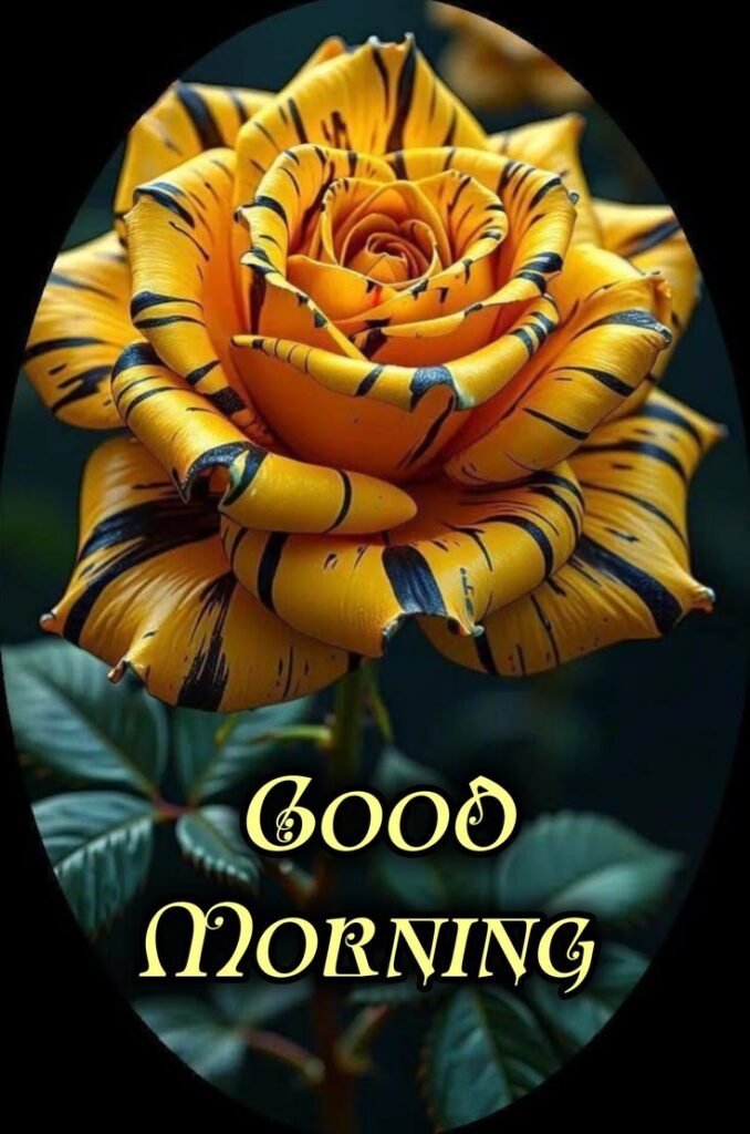 good morning images, good morning dp, good morning pictures, good morning photos, good morning pics, good morning wallpapers, morning dp images, beautiful good morning images, good morning wishes images, hd good morning wallpapers