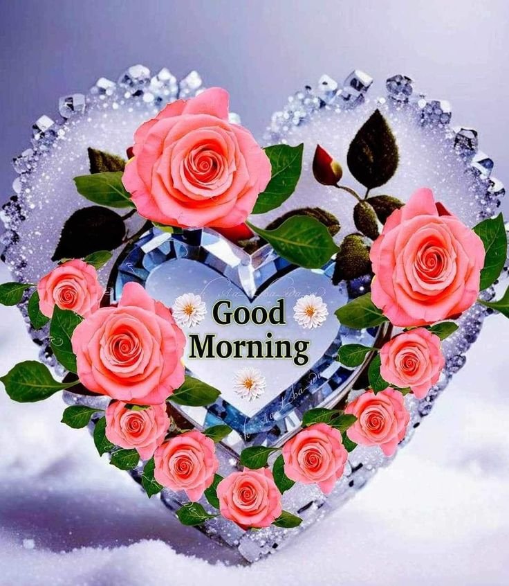 flower good morning images, beautiful good morning flowers, good morning flower photos, flower good morning pics, fresh flower good morning images, good morning wallpaper flowers, morning flower images, good morning rose images, good morning flower pictures, flower morning wishes