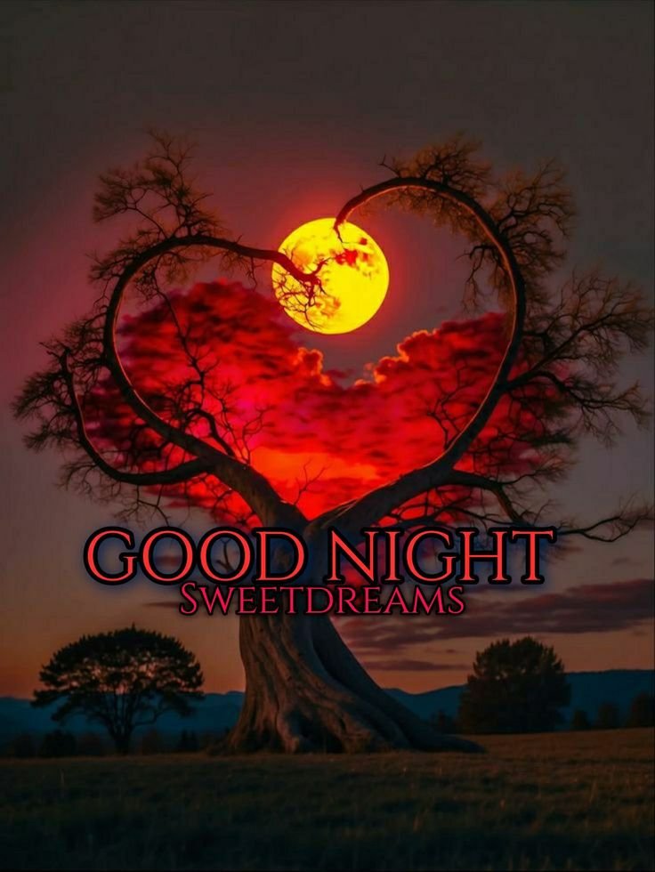 beautiful good night images, good night photos, good night pics, good night picture, good night dp, good night wallpapers, night images hd, cute good night images, romantic good night images, good night wishes images