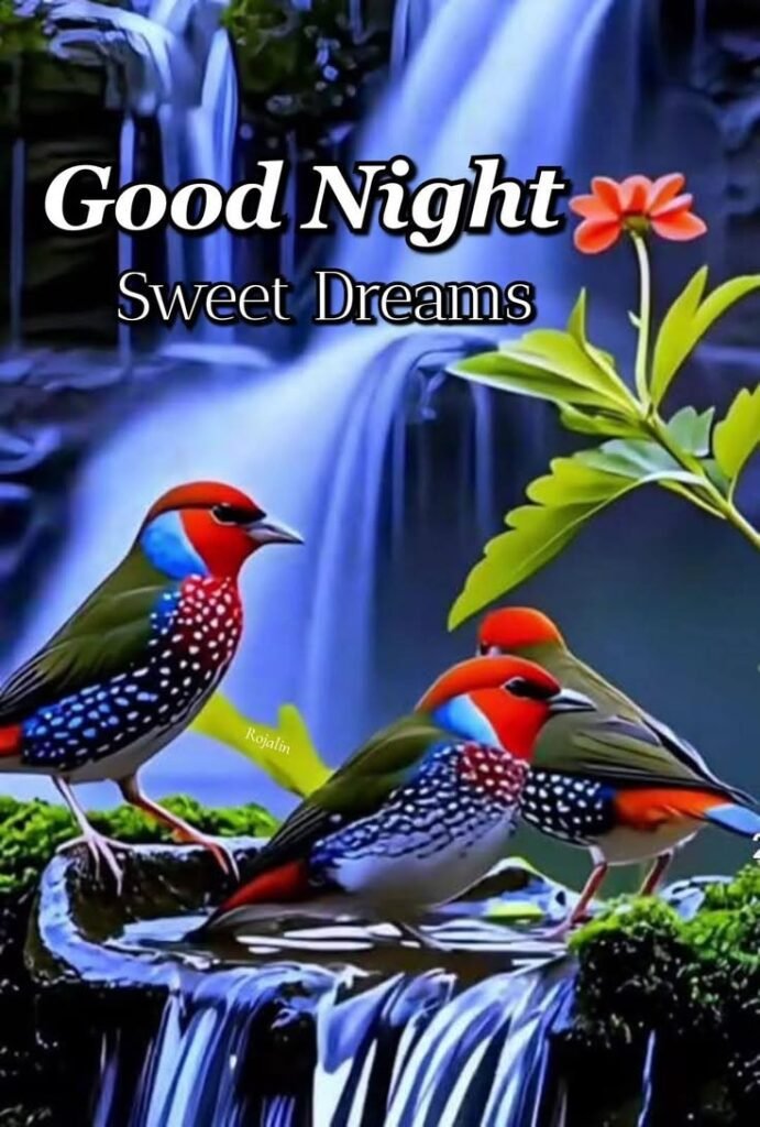 beautiful good night images, good night photos, good night pics, good night wallpapers, peaceful good night images, romantic good night pictures, cute good night images, night wishes photos, good night hd wallpapers, sweet good night images