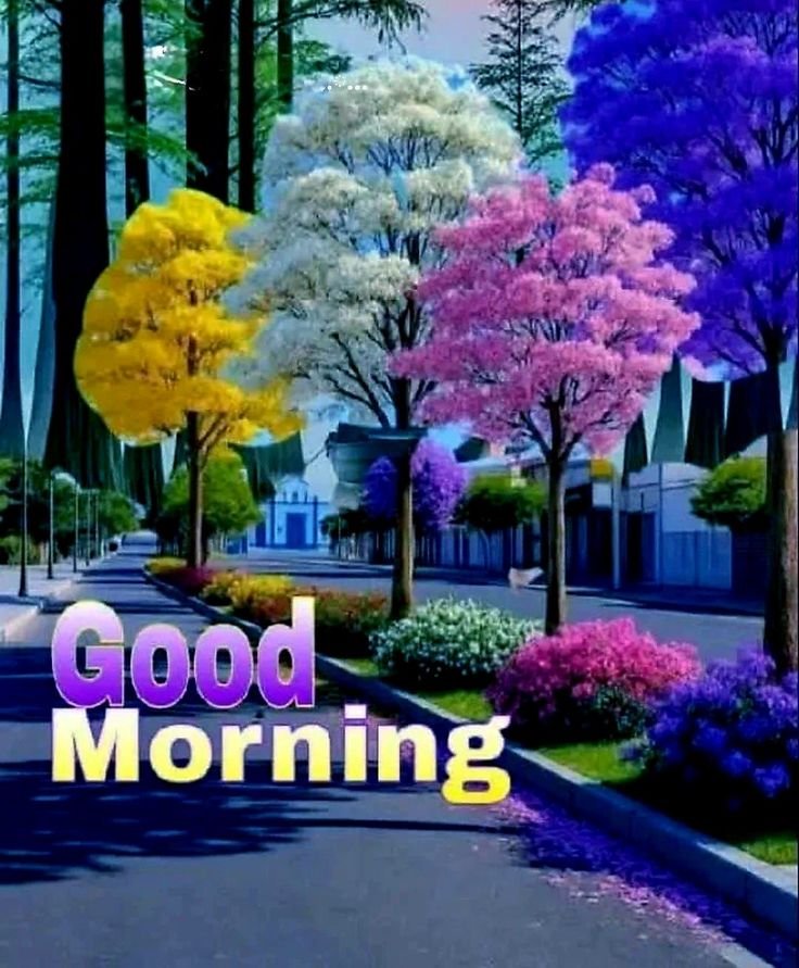 good morning garden flowers, garden flower good morning, good morning garden flower images, garden flower pictures, good morning flower images, garden flower wallpapers, beautiful good morning flowers, garden flower photos, morning flower pics, good morning nature images