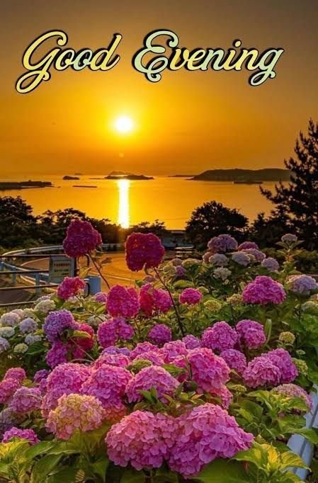 good evening images quotes, good evening photos, good evening pics, good evening wallpapers, evening quotes images, sunset good evening images, beautiful good evening pictures, good evening wishes photos, good evening hd wallpapers, evening greeting images