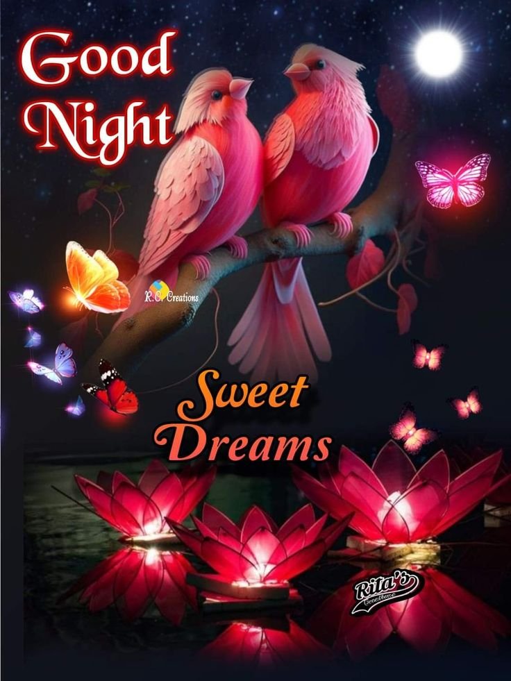 beautiful good night images, good night photos, good night pics, good night wallpapers, peaceful good night images, romantic good night pictures, cute good night images, night wishes photos, good night hd wallpapers, sweet good night images