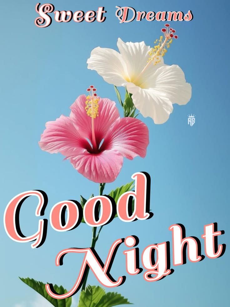 beautiful good night images, good night photos, good night pics, good night wallpapers, peaceful good night images, romantic good night pictures, cute good night images, night wishes photos, good night hd wallpapers, sweet good night images