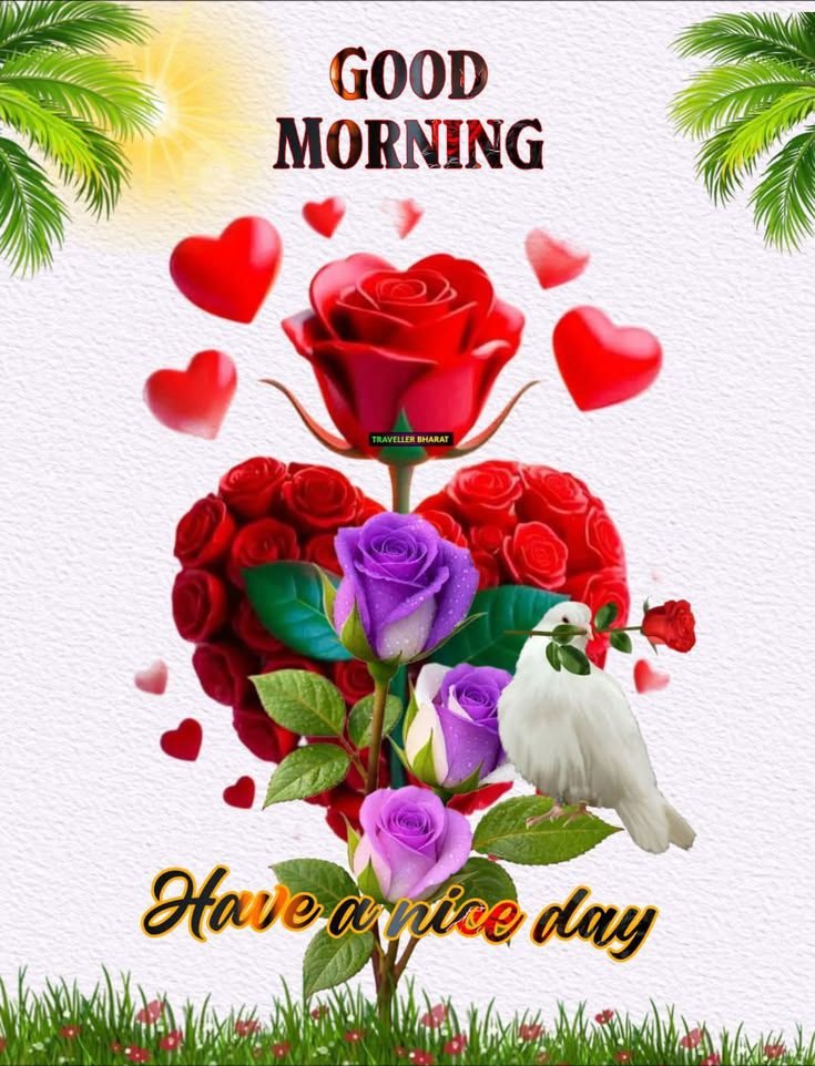 radiant good morning images, bright good morning photos, positive good morning images, fresh morning wallpapers, peaceful good morning pics, good morning nature images, sunrise good morning pictures, beautiful morning photos, good morning light images, daily morning wishes images