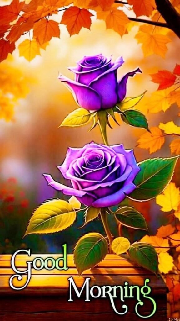 flower good morning images, beautiful good morning flowers, good morning flower photos, flower good morning pics, fresh flower good morning images, good morning wallpaper flowers, morning flower images, good morning rose images, good morning flower pictures, flower morning wishes