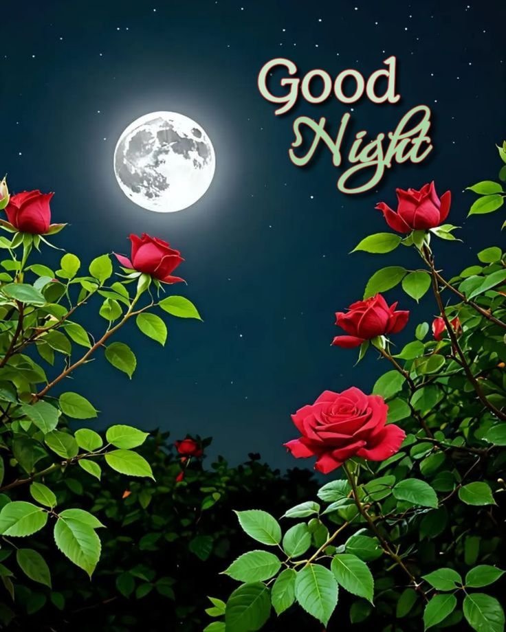 good night images new, new good night images, latest good night images, good night pics, good night photos, good night pictures, good night wallpapers, beautiful good night images, good night wishes images, hd good night images