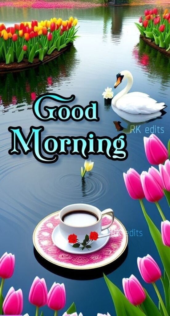 flower good morning images, beautiful good morning flowers, good morning flower photos, flower good morning pics, fresh flower good morning images, good morning wallpaper flowers, morning flower images, good morning rose images, good morning flower pictures, flower morning wishes