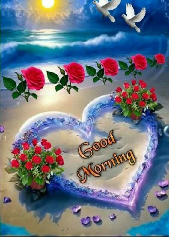 flower good morning images, beautiful good morning flowers, good morning flower photos, flower good morning pics, fresh flower good morning images, good morning wallpaper flowers, morning flower images, good morning rose images, good morning flower pictures, flower morning wishes
