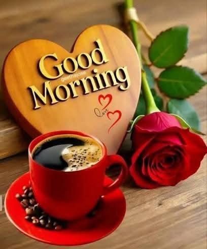 flower good morning images, beautiful good morning flowers, good morning flower photos, flower good morning pics, fresh flower good morning images, good morning wallpaper flowers, morning flower images, good morning rose images, good morning flower pictures, flower morning wishes